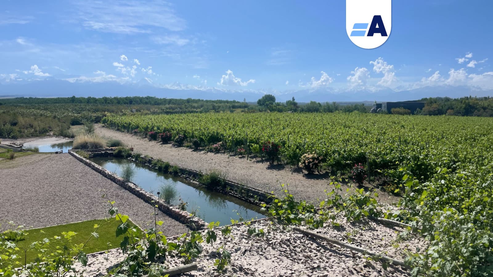 Mendoza, la tierra del vino