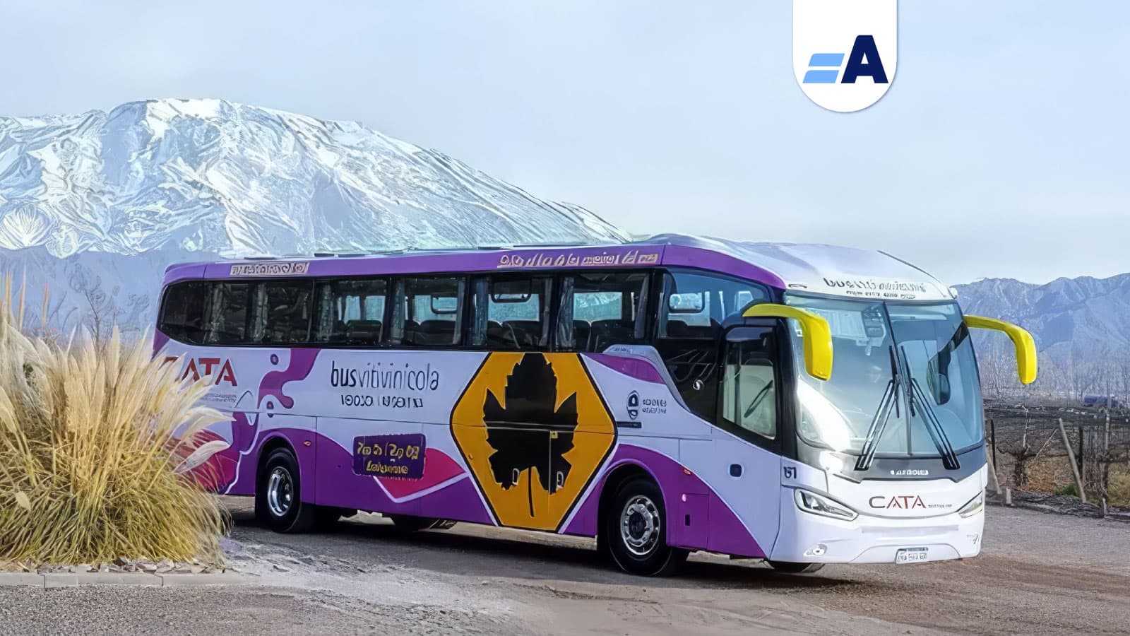 Bus Vitivinícola: bodegas, experiencias y libertad para elegir